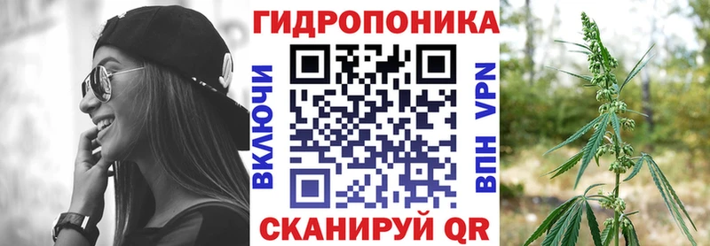 наркота  блэк спрут рабочий сайт  Шишки марихуана Bruce Banner  Вышний Волочёк 